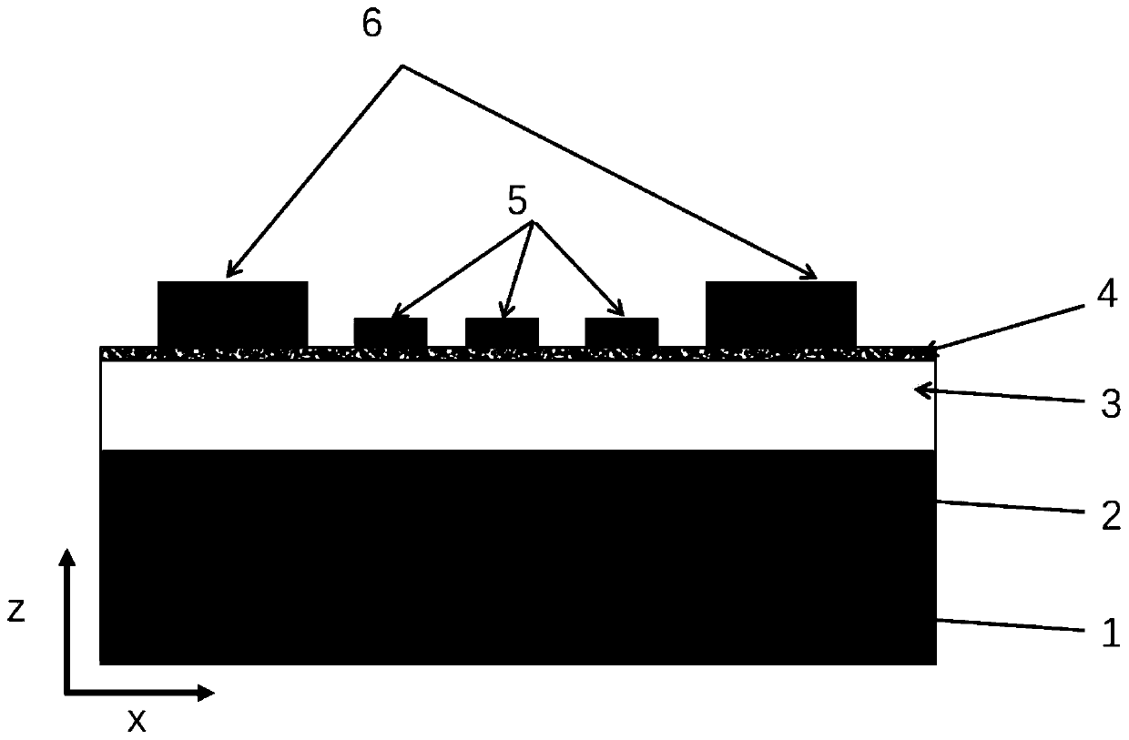 Circularly polarized light detector and preparation method thereof