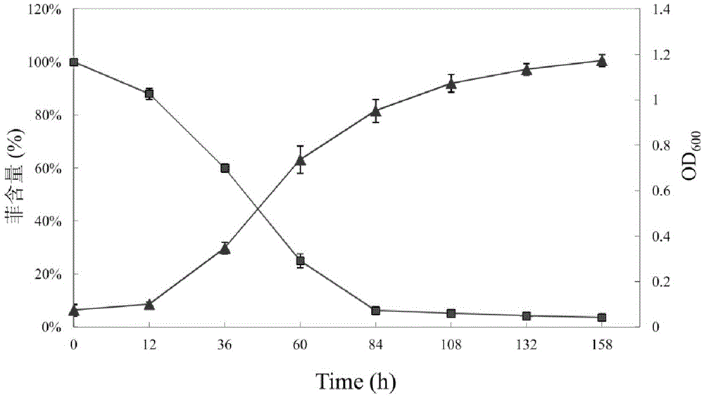 Achromobacter strain for degrading polycyclic aromatic hydrocarbon organic pollutants and its application