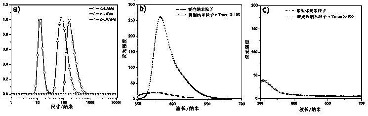 Anti-tumor nano-drug