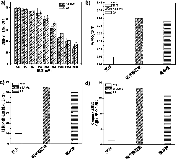 Anti-tumor nano-drug