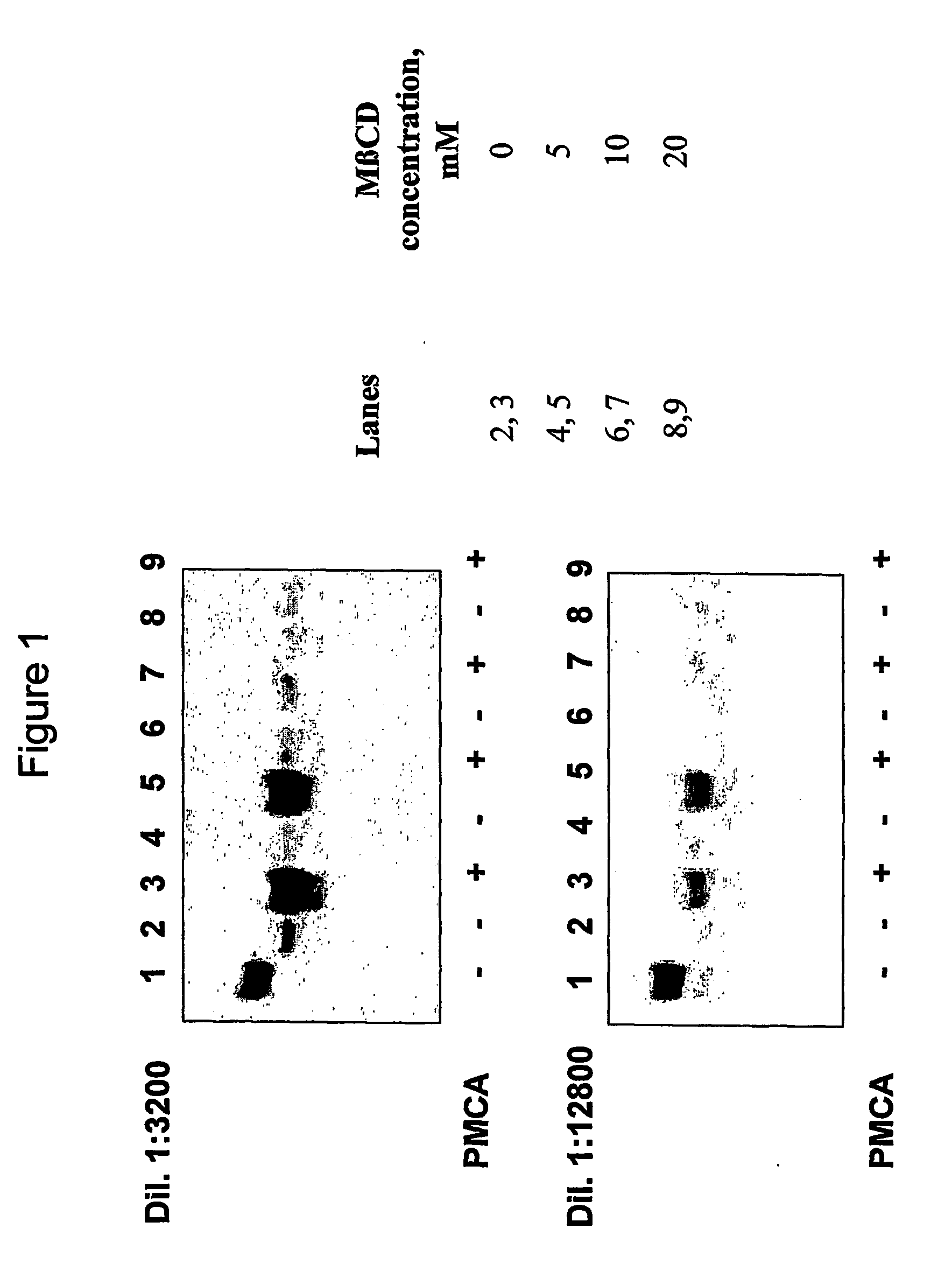 Use of prion conversion modulating agents