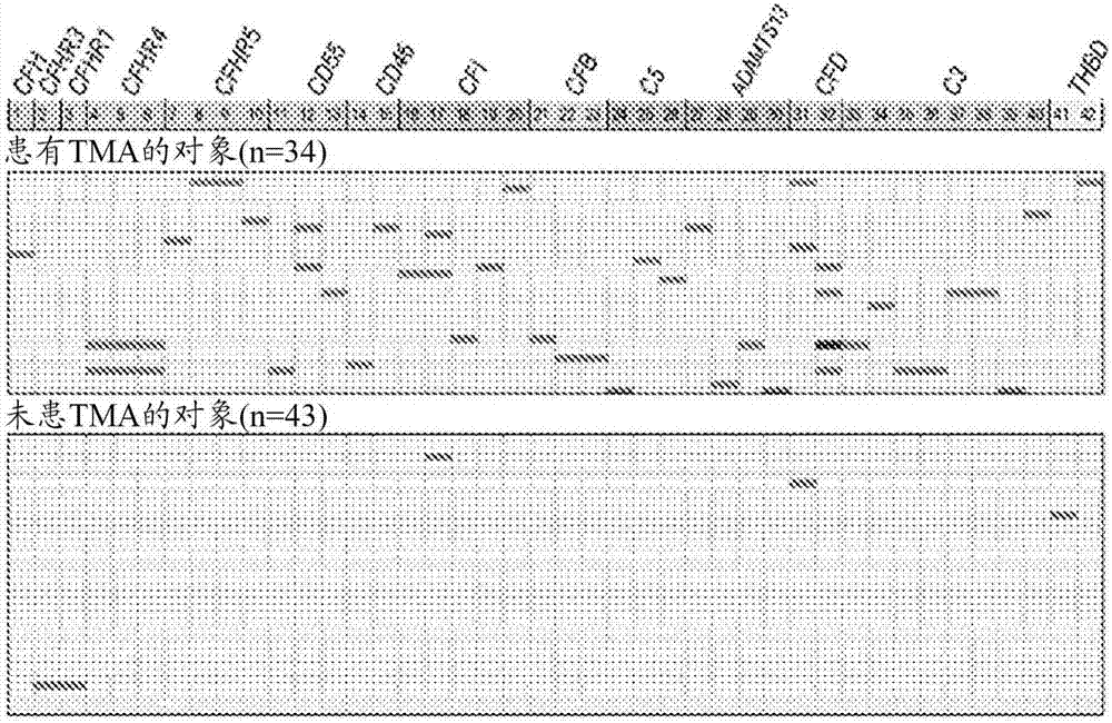 Methods and compositions related to transplant-associated thrombotic microangiopathy