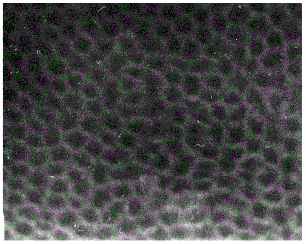 Novel medical functional polyethylene glycol material