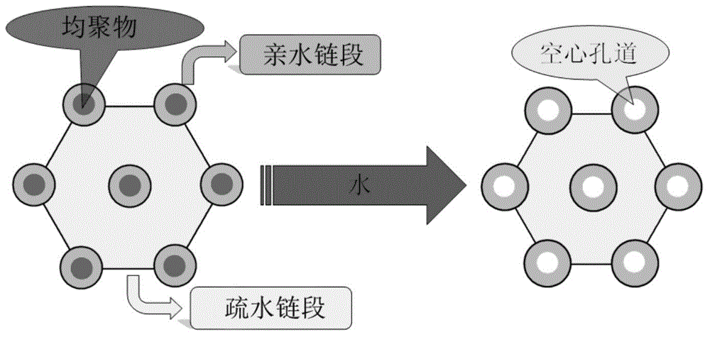 Novel medical functional polyethylene glycol material