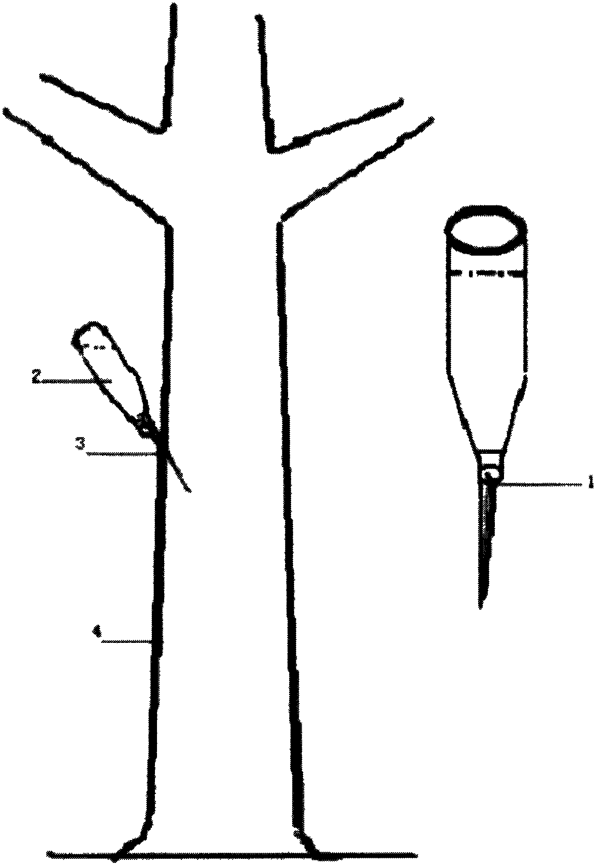 Flora and method for producing Chinese eaglewood wood on Aquilaria senensis (Lour.) Gilg by bottle interpolation method