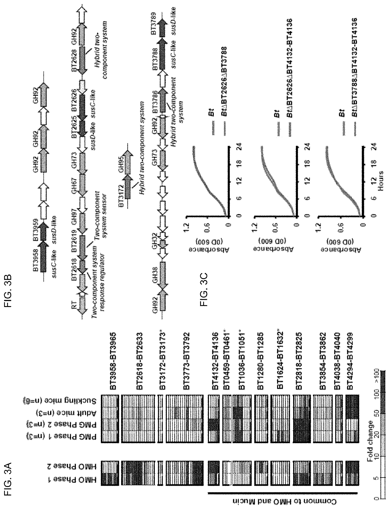 Therapeutic use of mucin glycans