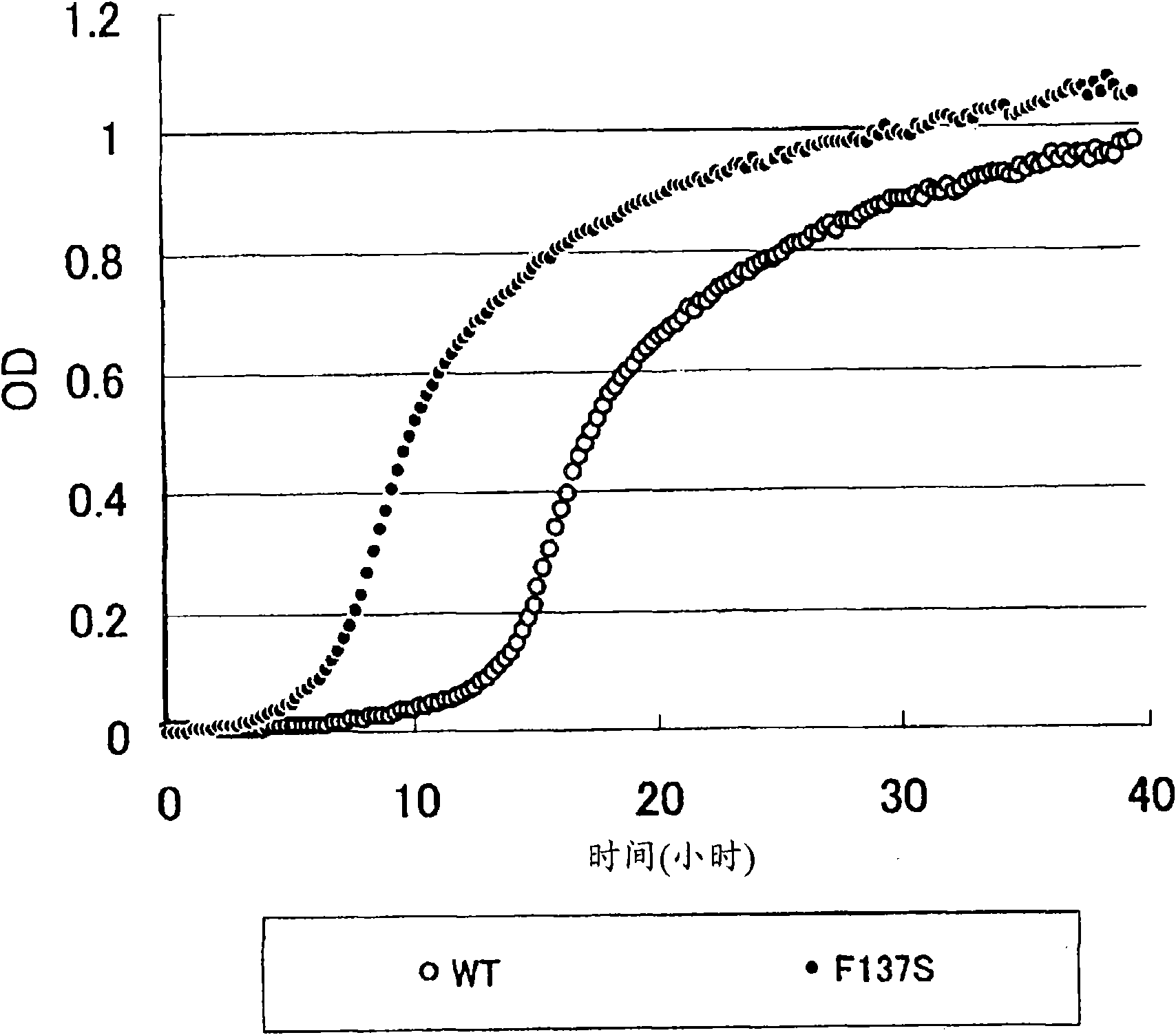 An L-amino acid-producing bacterium and a method for producing an L-amino acid