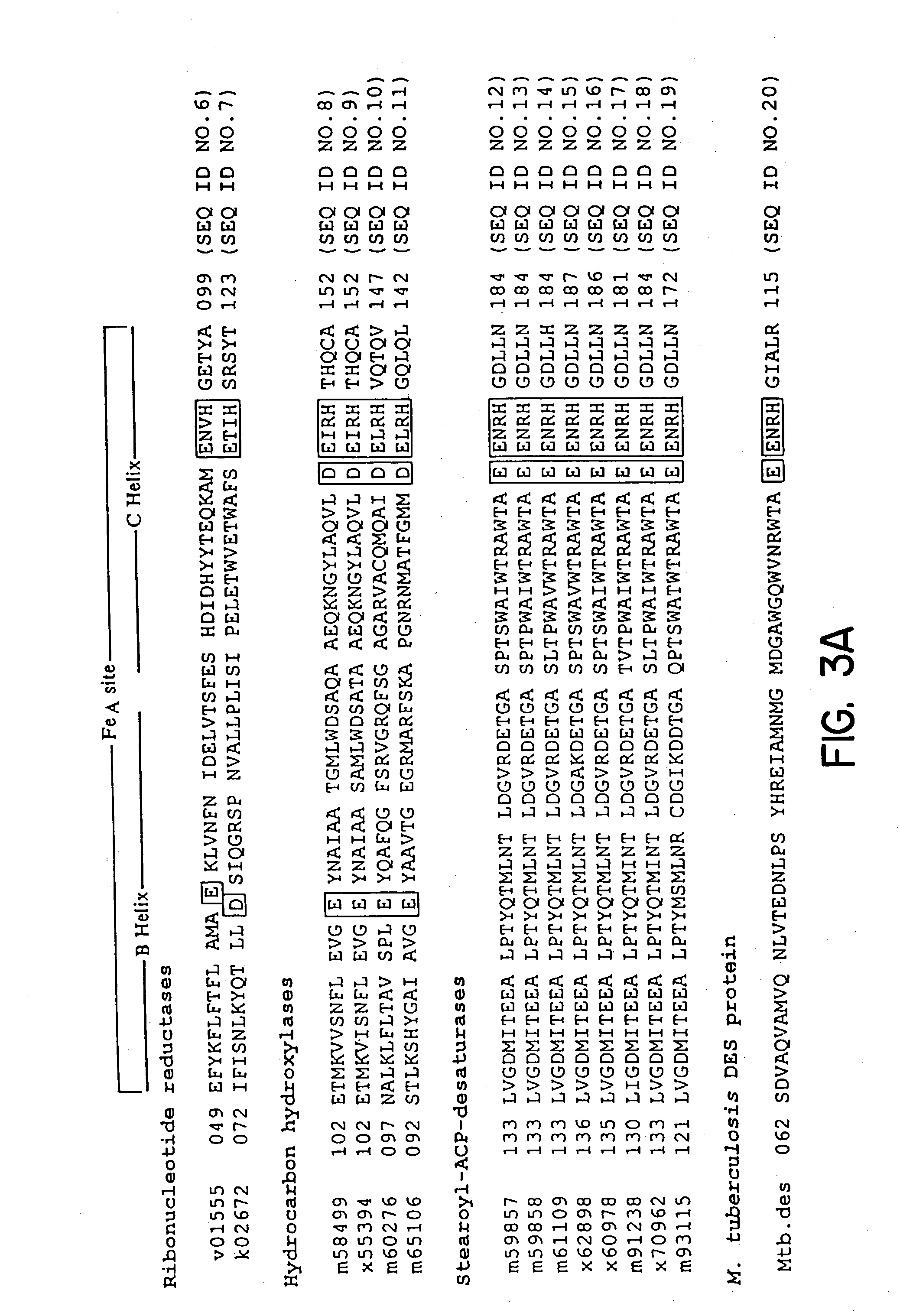 Method of screening anti-mycobacterial molecules