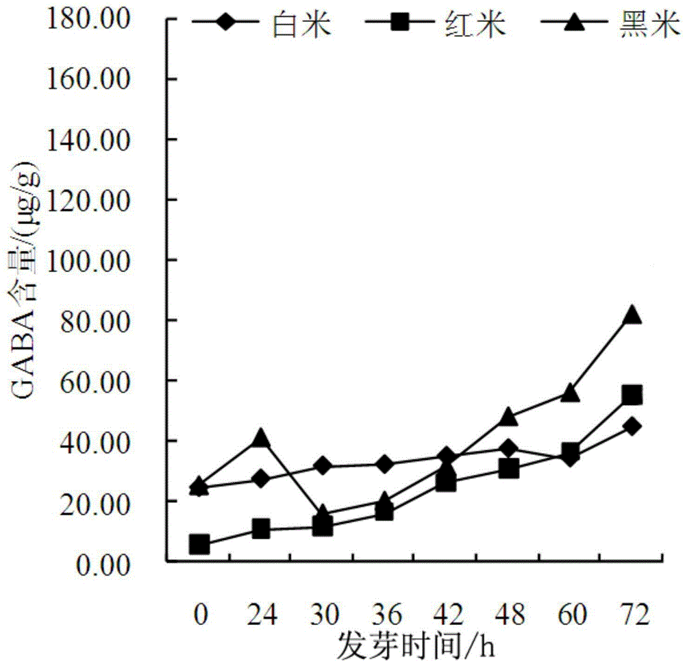 Preparation method of germinated brown rice