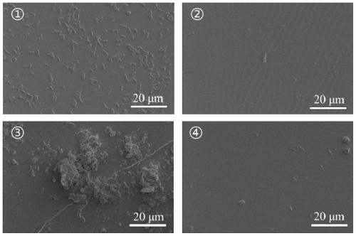 Amphoteric-polymer-based marine antifouling surface and preparation method thereof