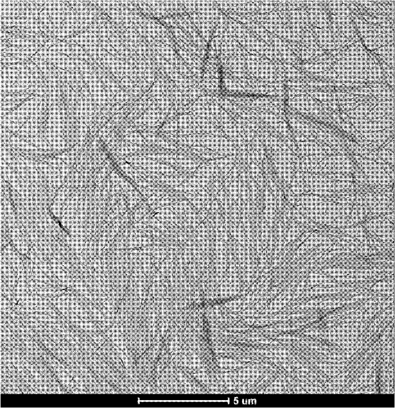 Rare earth doped hydroxyfluorapatite monocrystal nanometer wire and preparation method thereof