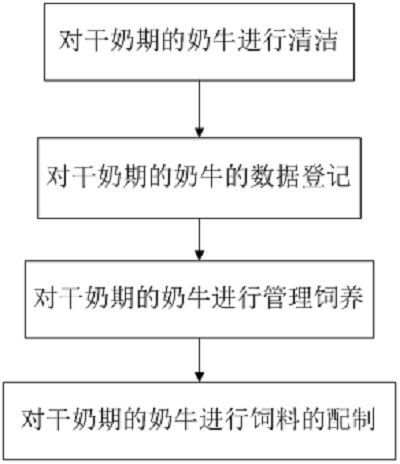 Feeding management method for dairy cows in dry period