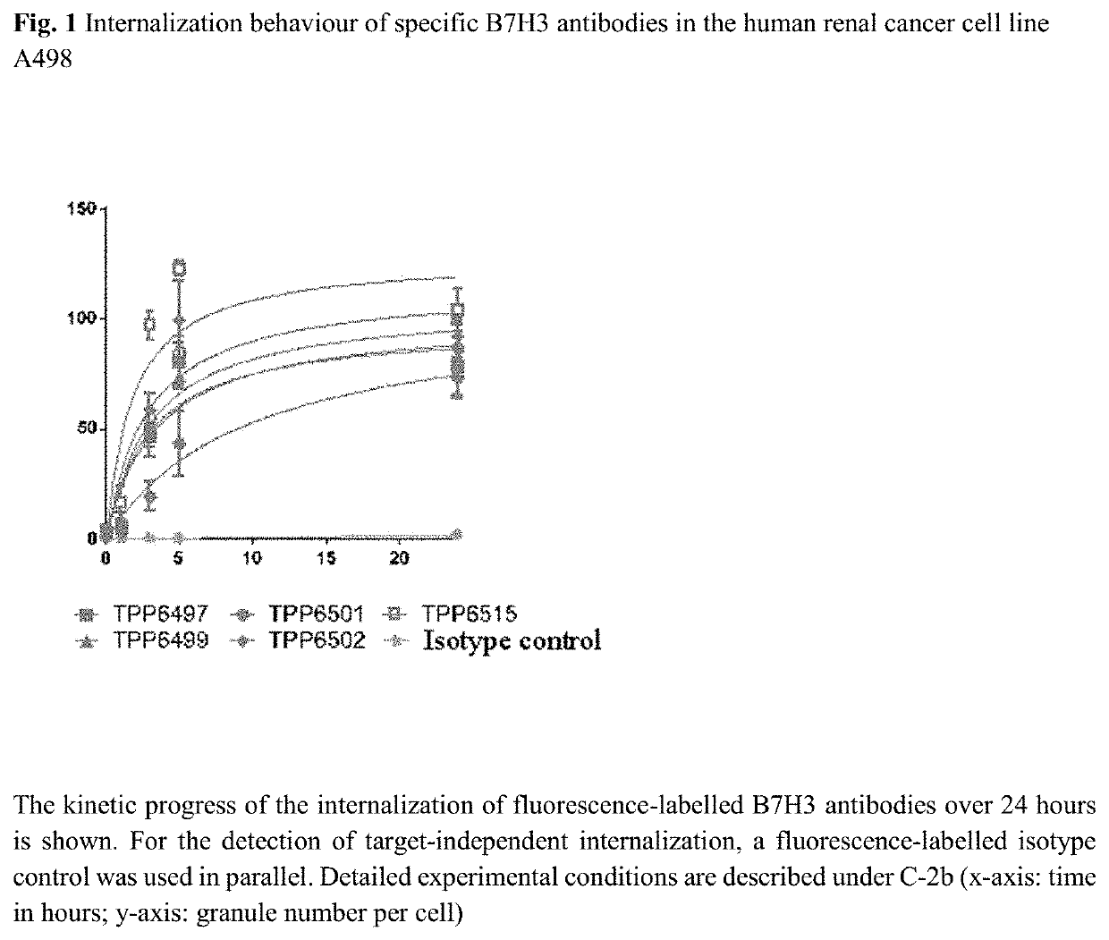 Antibody drug conjugates of kinesin spindel protein (KSP) inhibitors with antib7h3-antibodies