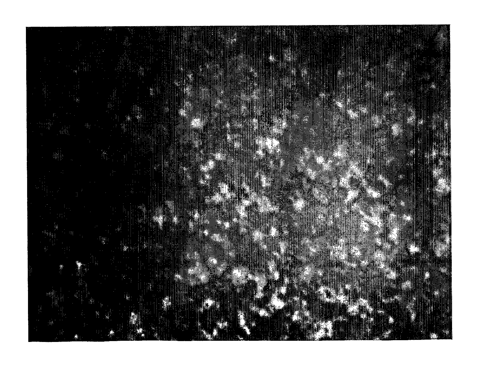 [1]benzothieno[3,2-b][1]benzothiophene compound and method for producing the same, and organic electronic device using the same