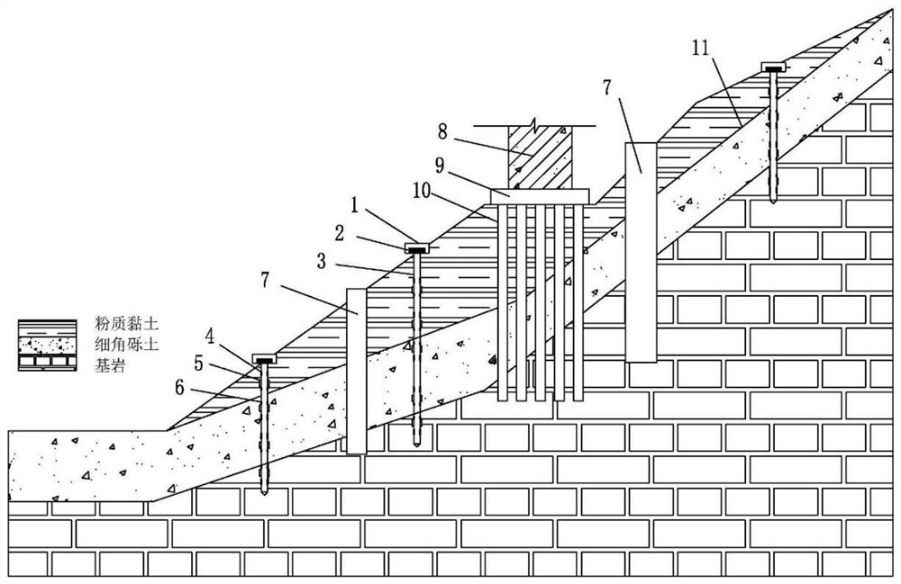 A method for early warning of earthquake instability on high and steep slopes and its application