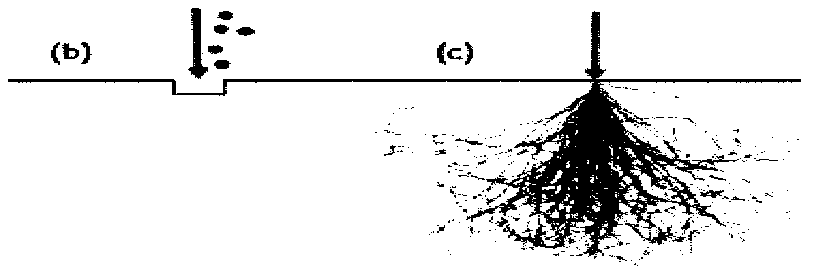 Femtosecond laser proton direct-writing system