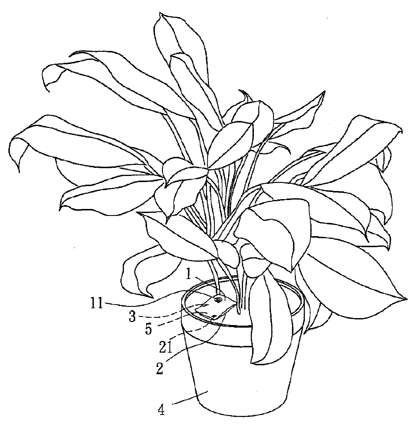 Nutrient supplying bag for plants