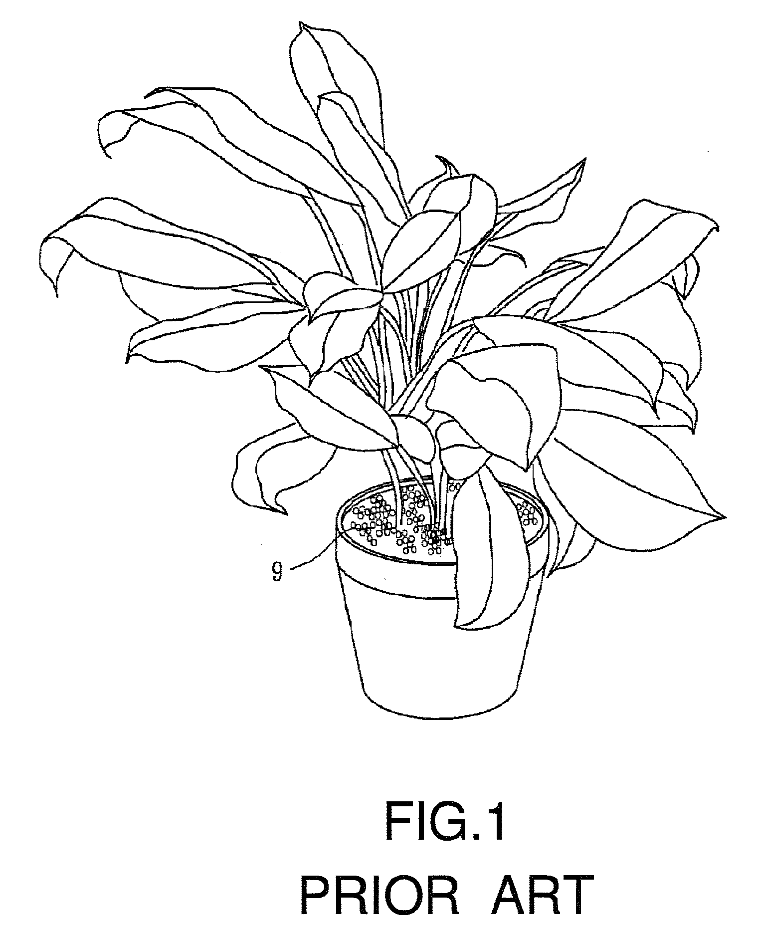 Nutrient supplying bag for plants