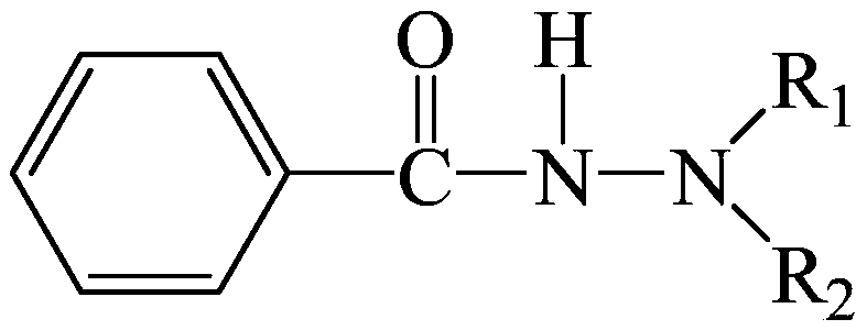 Graphene metal anticorrosive paint for primary equipment in coastal areas and preparation method thereof