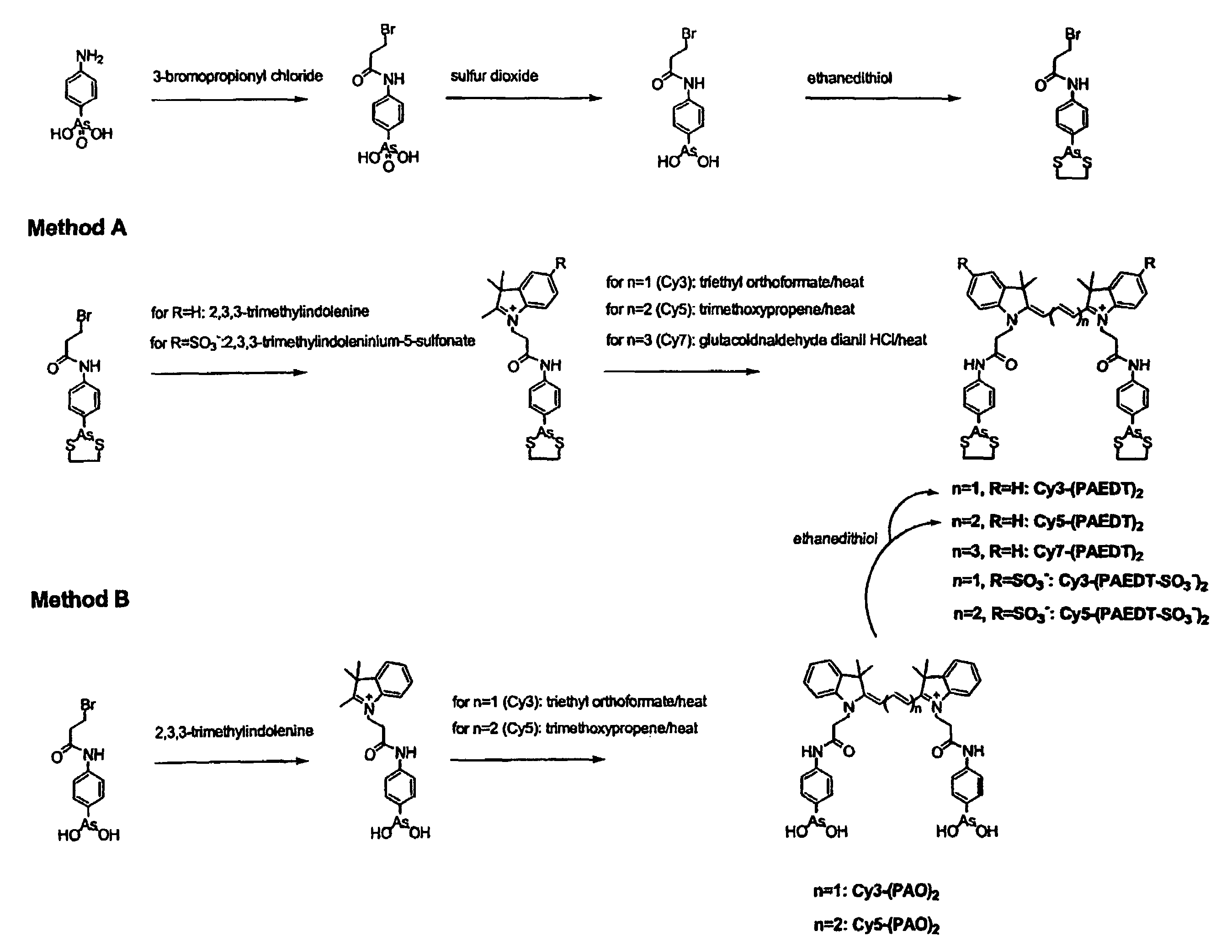 Ultra-high specificity fluorescent labeling