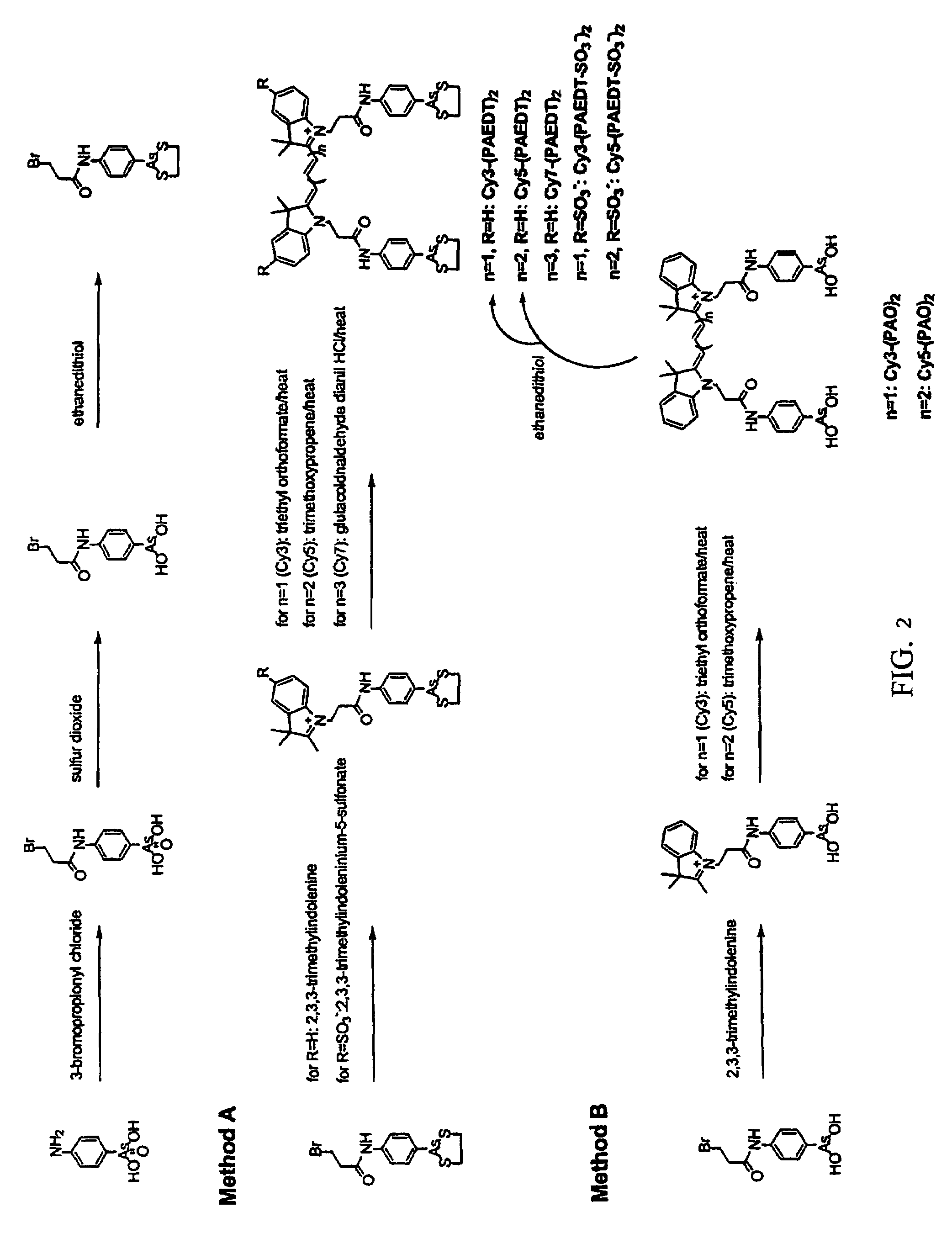 Ultra-high specificity fluorescent labeling