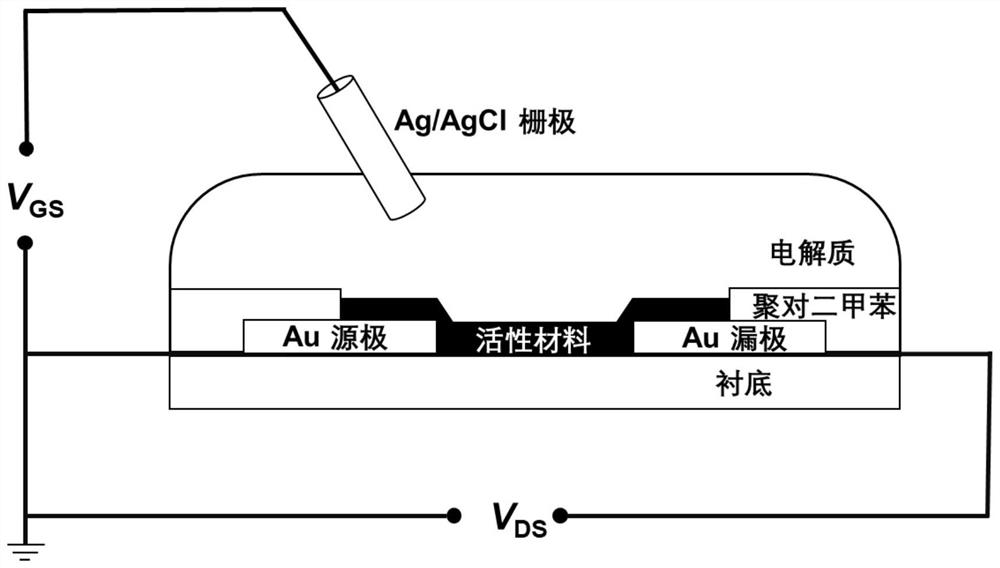 Organic conjugated molecule containing branched ether chain as well as preparation and application of organic conjugated molecule