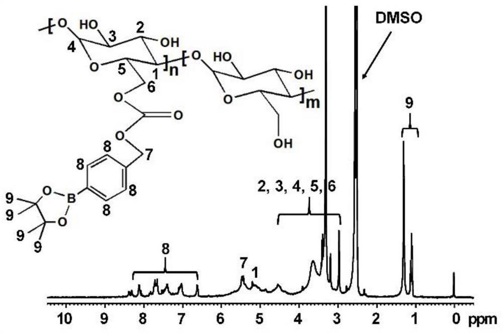 Preparation for enhancing hypoxic tumor photodynamic therapy and preparation method and application of preparation