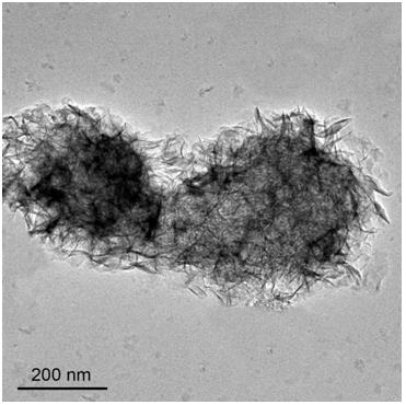 A method for in-situ preparation of highly dispersed metal catalysts by growing two-dimensional nanosheets