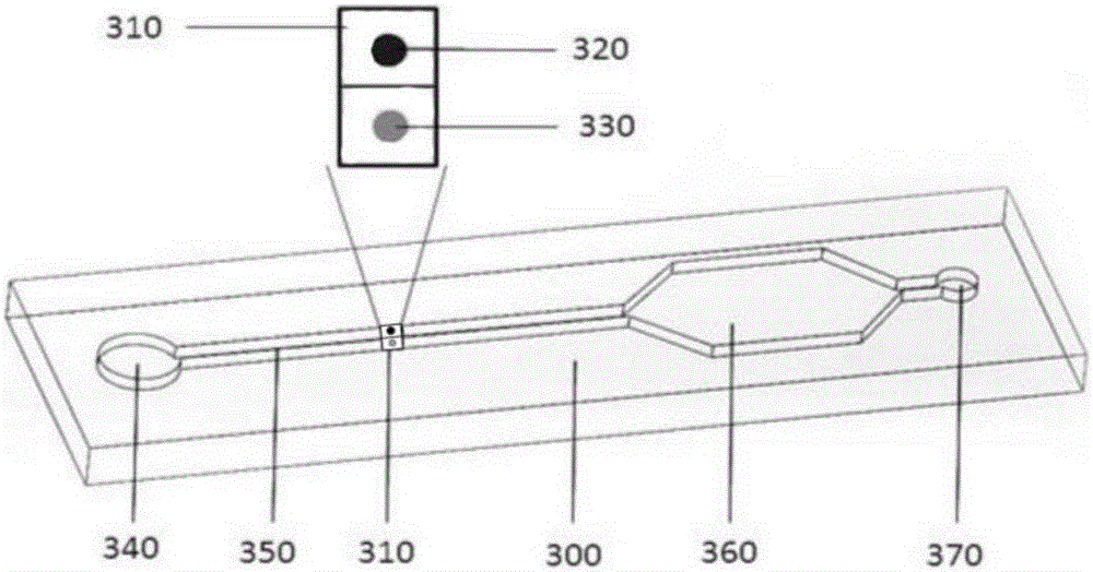 Biochip utilizing hook effect to enlarge detection range and detection method thereof