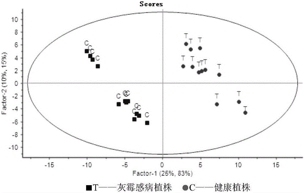 Method for diagnosing plant gray mold by analyzing metabolome of infected plant