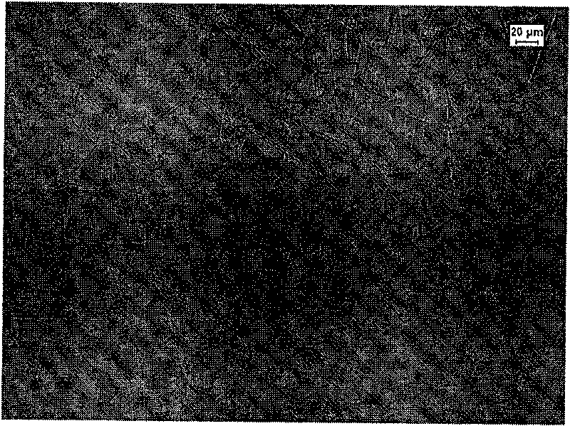 Austenitic stainless steel medium-thick plate and manufacture method thereof