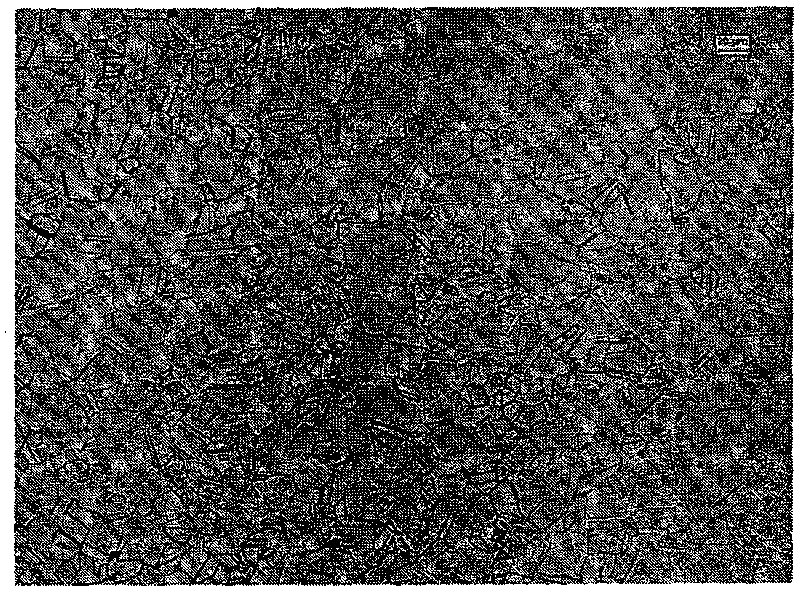 Austenitic stainless steel medium-thick plate and manufacture method thereof