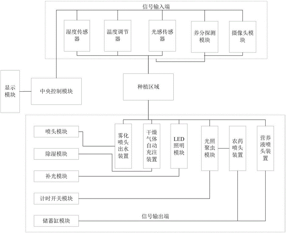 Irrigation system for increasing production of dioscorea alata L. in growth stage