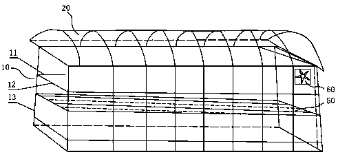 A drying method for changing the appearance characteristics and flavor of raisins