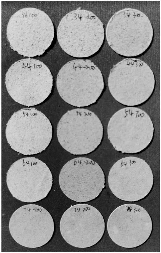 Functional moxibustion sheet and preparation method thereof