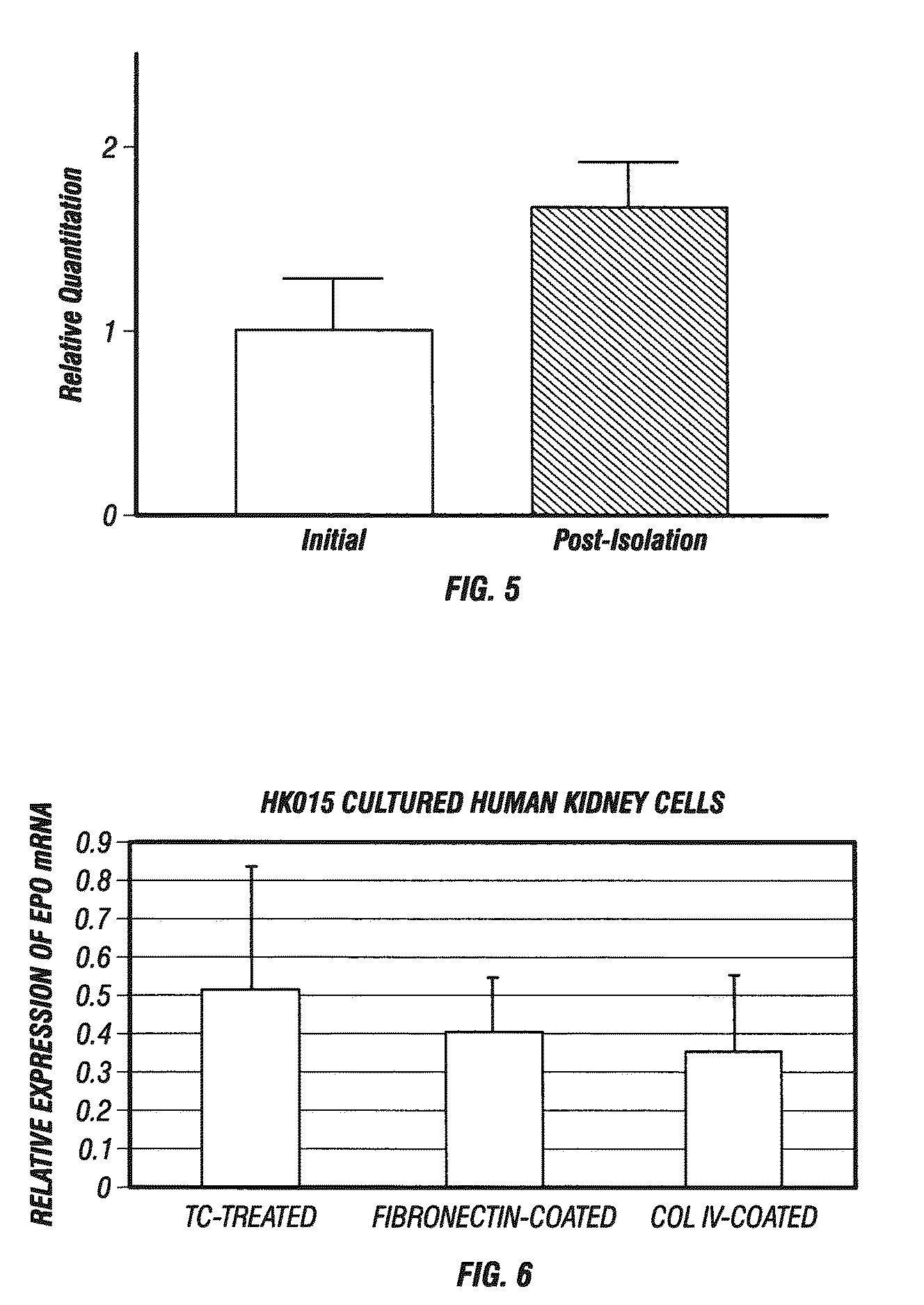 Isolated renal cells and uses thereof