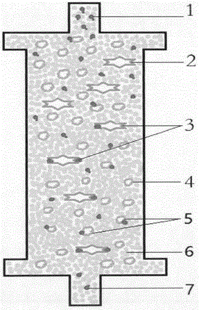 HIV (human immunodeficiency virus) immune purifier