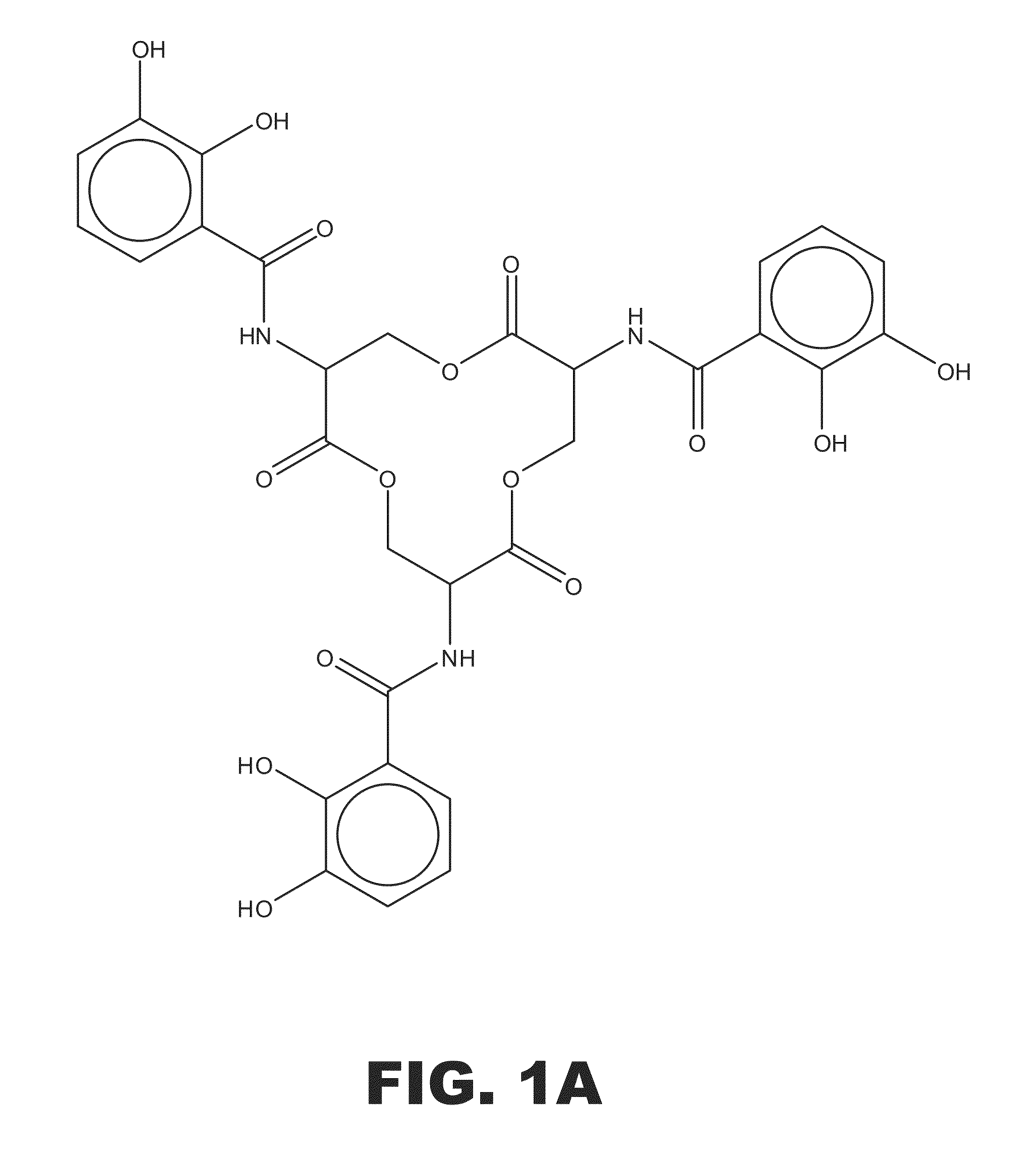 Biomarker and therapeutic for urinary tract infection