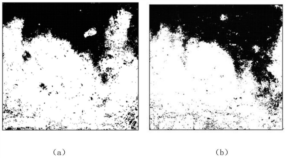 Infiltration water and inorganic solute global distribution test method under micro-spraying irrigation condition