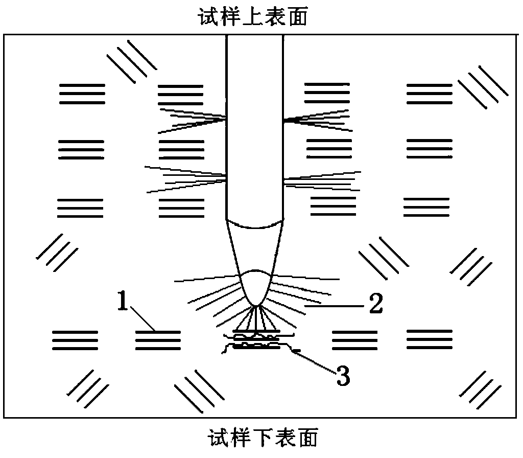 Crosslinked polyethylene cable insulating material with water treeing resisting function and preparation method of material