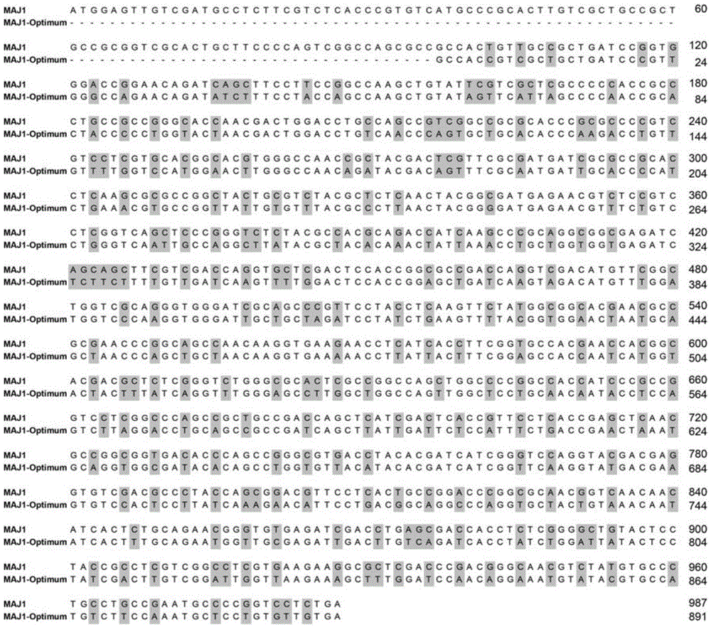 A kind of low-temperature partial glyceride lipase derived from marine microorganisms and its application