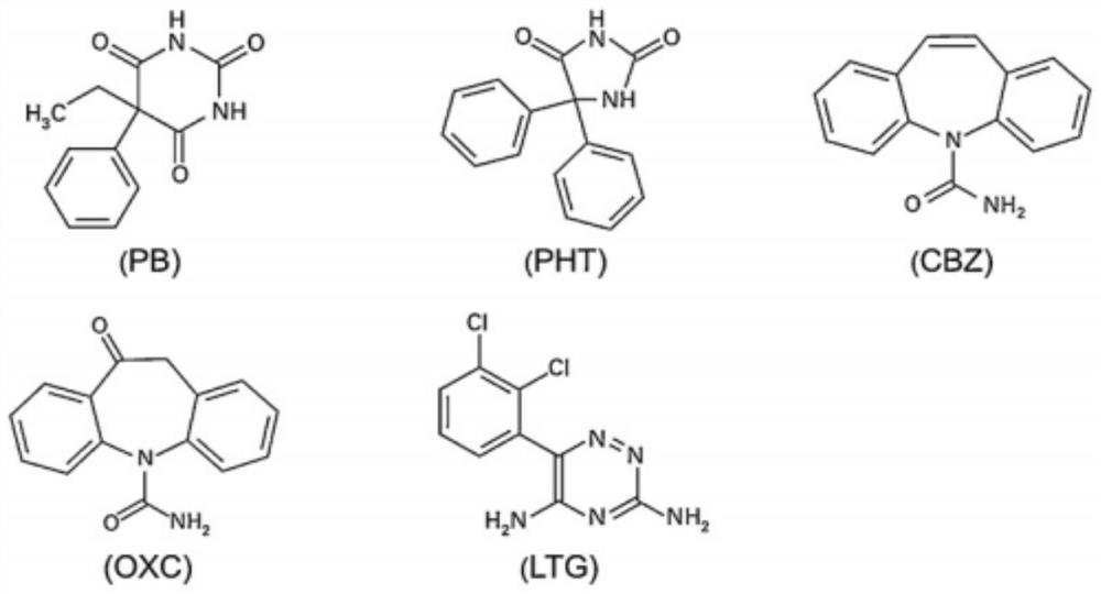 Kit and detection method for accurately determining blood concentration of multiple antiepileptic drugs in human serum