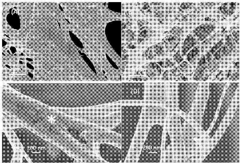 Mimic polypeptide of non-collagen protein and application of the mimic peptide in biomimetic mineralization