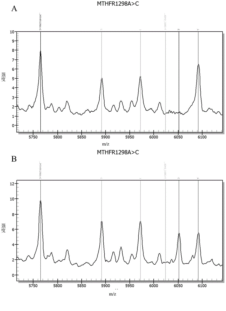 Method for detecting folate metabolism-related gene and kit thereof