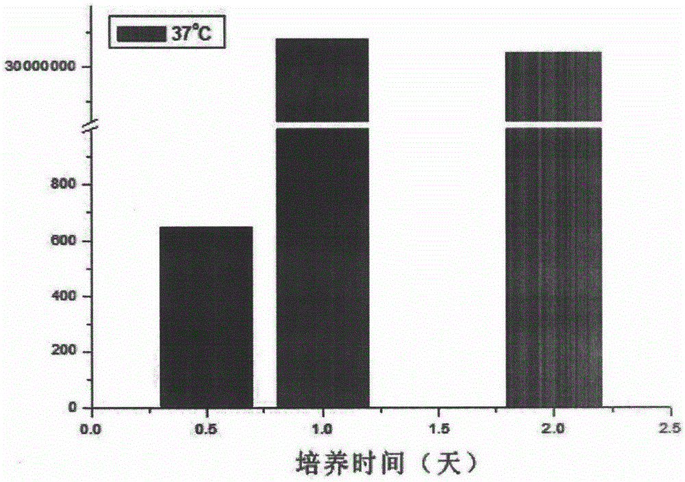 Inductive formation method for VBNC (viable but nonculturable) salmonella