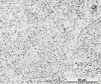 Heat treatment method for Mg-Al-Zn-Y rare-earth magnesium alloy