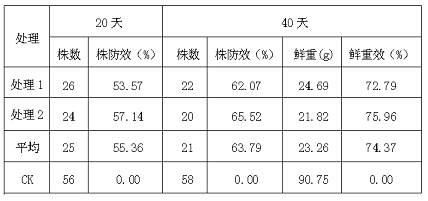 Fusarium avenaceum as well as agent and application of fusarium avenaceum