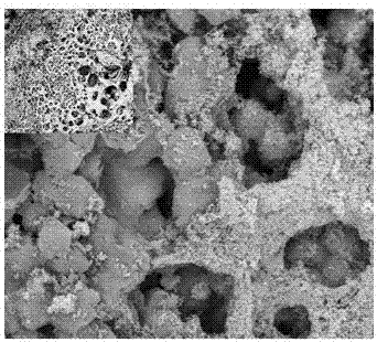 Granular 13x molecular sieve/attapulgite loaded nano-iron-nickel material and preparation method thereof