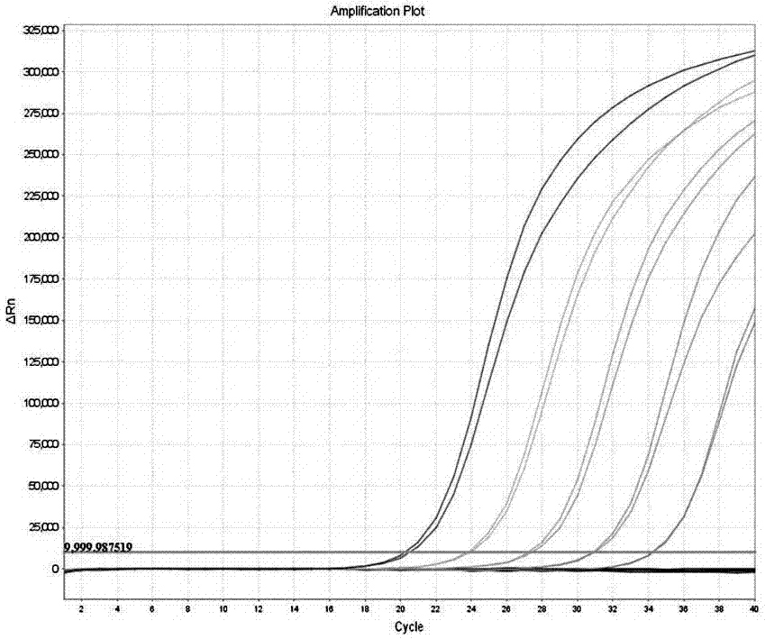 A kit for extracting pathogen nucleic acids from a phlegm sample in a high-flux and automatic manner