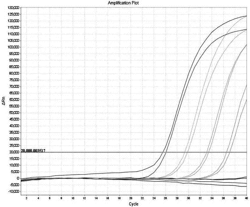 A kit for extracting pathogen nucleic acids from a phlegm sample in a high-flux and automatic manner